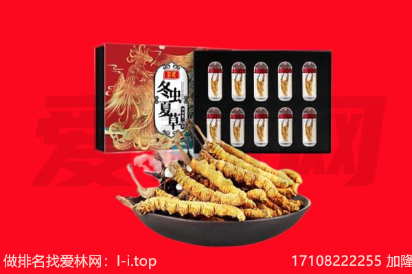 十堰竹山县回收虫草.jpg